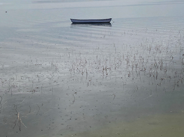 %_tempFileNameIMG_2170%